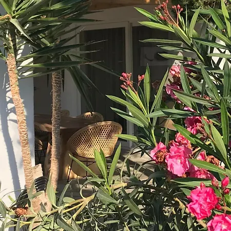 Daire Kostantakis Pool House *